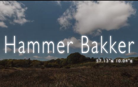 Pebermosen i Hammer Bakker