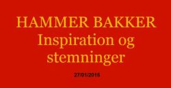 Stemningsfuld film om Hammer Bakker lavet af Regner Jensen, Grindsted..